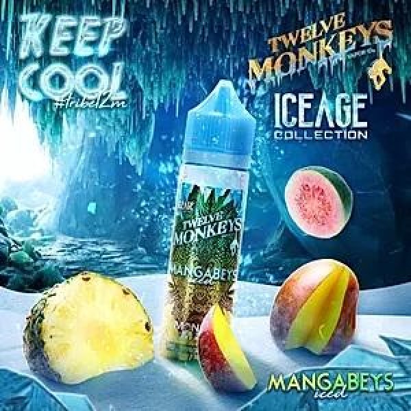 MANGABEYS ICED E LIQUID BY 12 MONKEYS 50ML 70VG